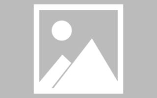 浙江嘉兴：棒球赛事“带货”点燃消费经济