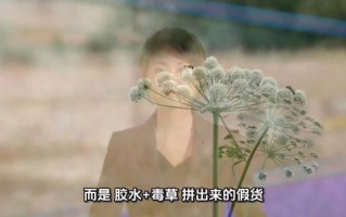 冬虫夏草网红店员工直言全是假货